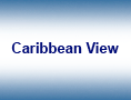 The Caribbean View