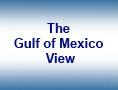 The Gulf of Mexico View